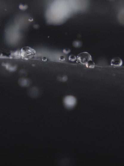 Standard Seamless Down Jacket